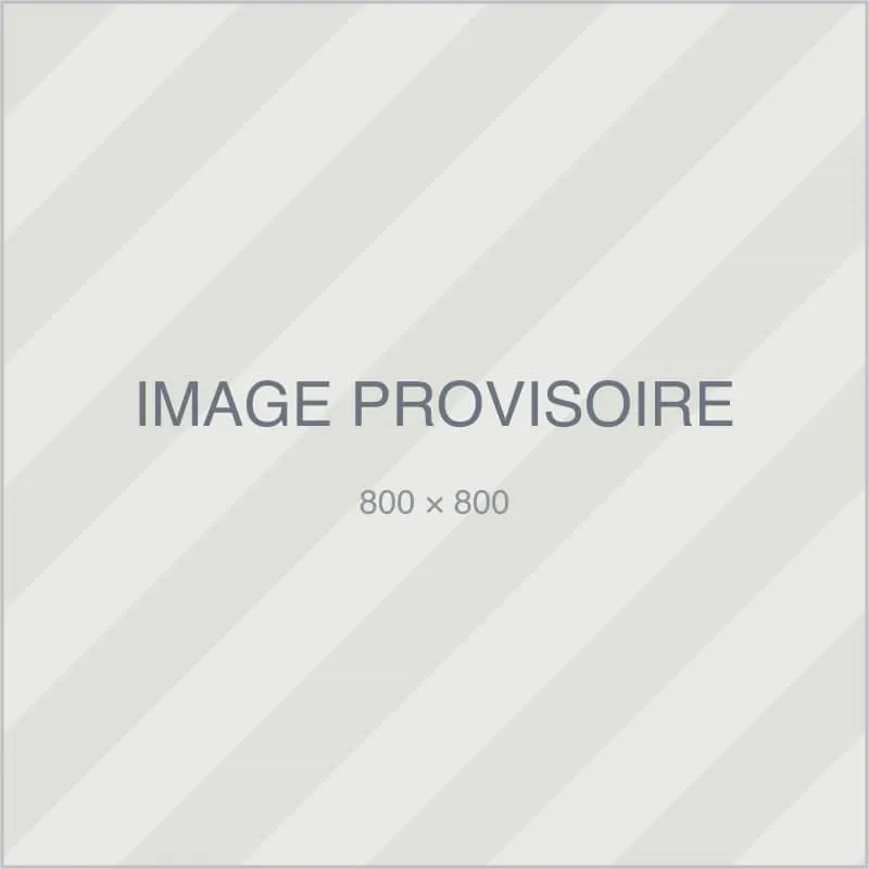 Image provisoire