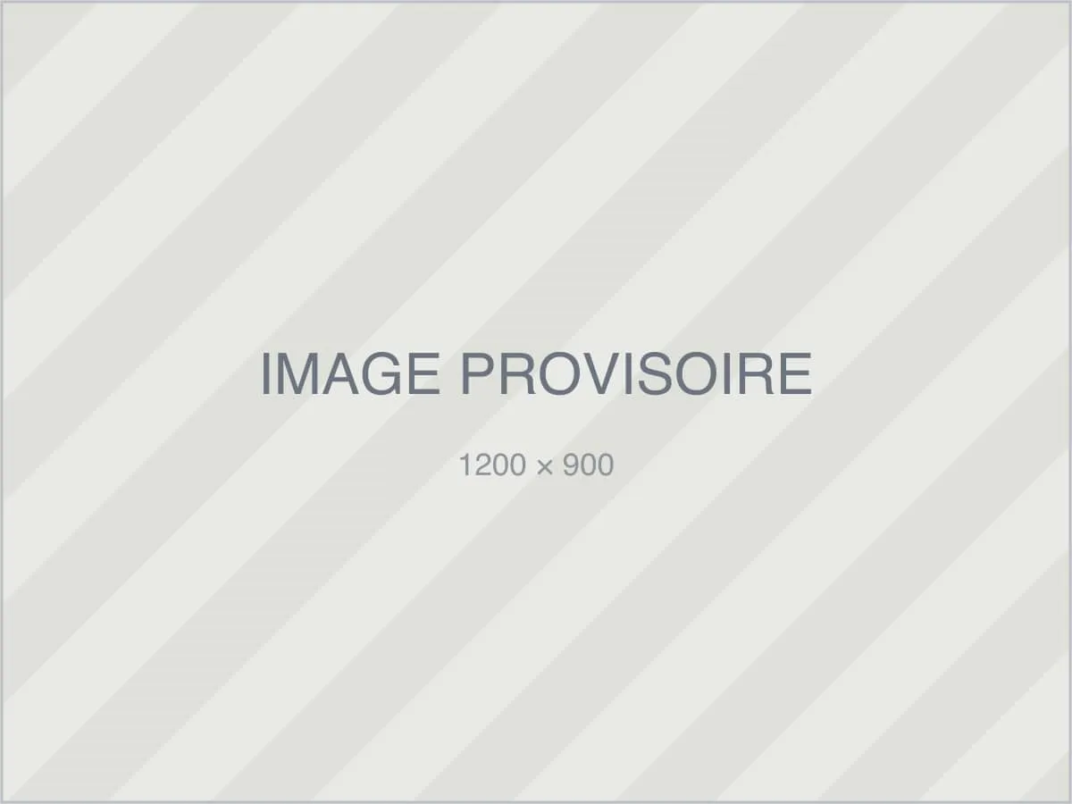 Image provisoire